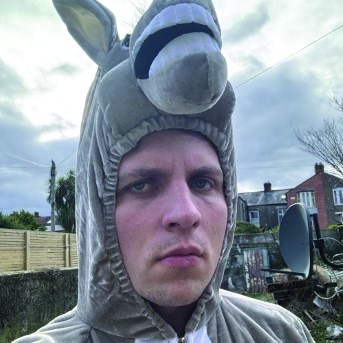 Donkey