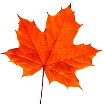 Best Of Canada