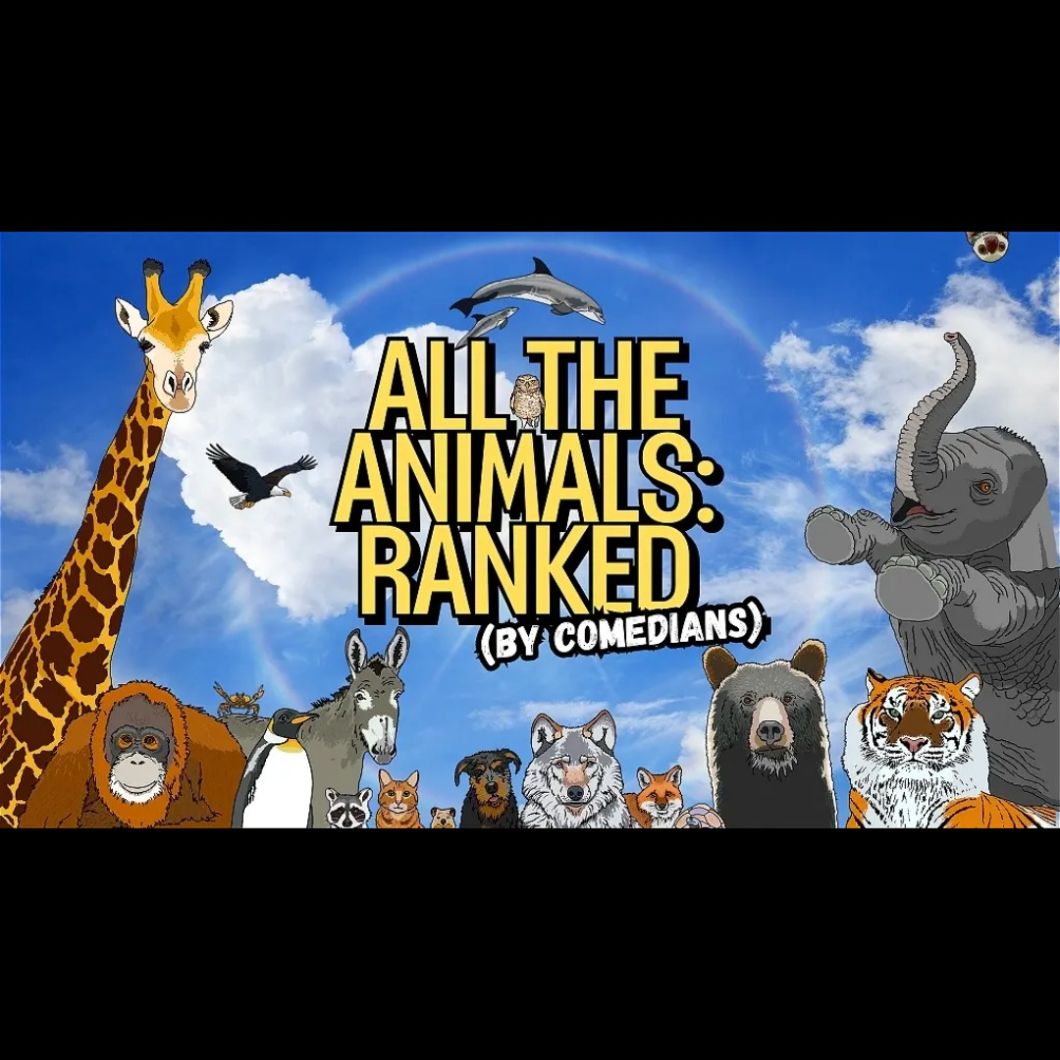 All the Animals: Ranked (by Comedians)