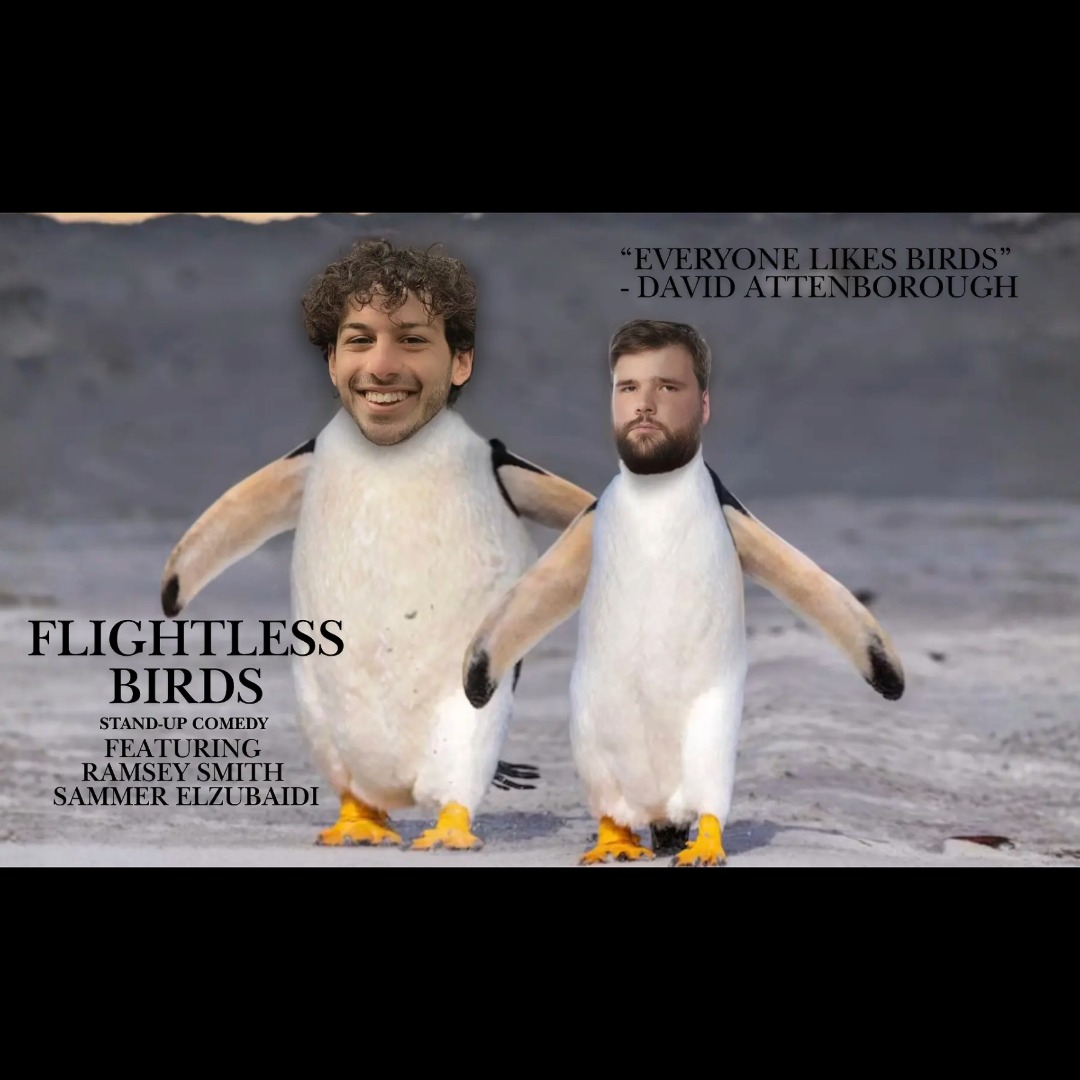 Flightless Birds